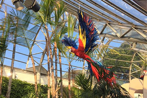 Danrare Botanical Gardens