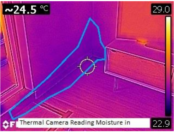 Thermal Camera Reading
