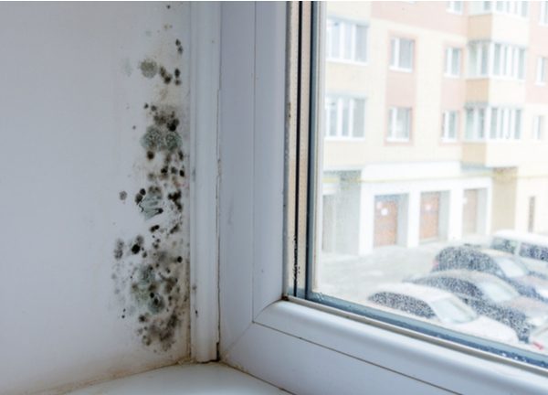 Prevention To Keep Tenants Happy