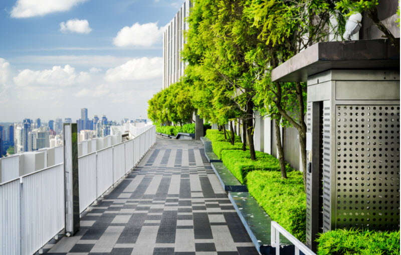 Rooftop garden on a building