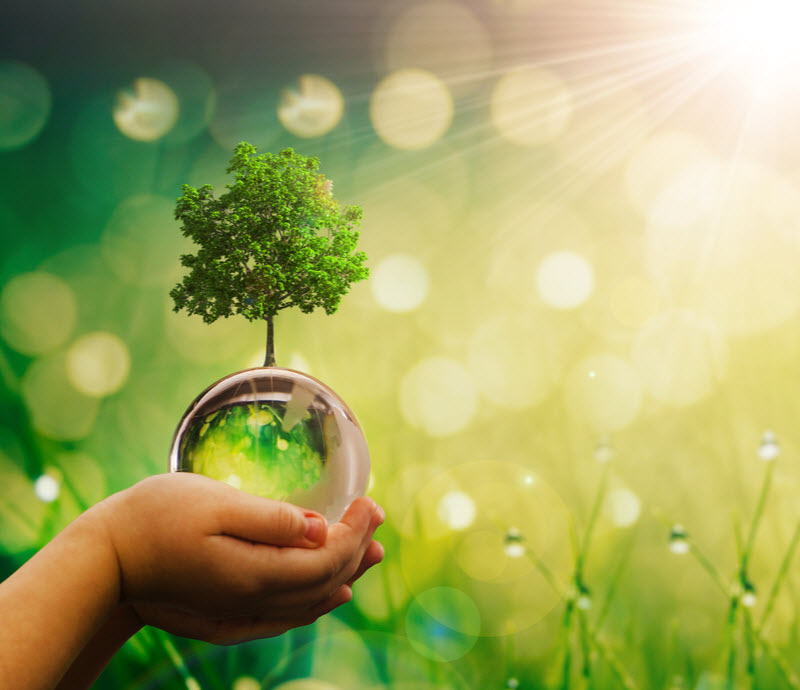 Hand of a child holding a glassball with a tree and surrounded by grass