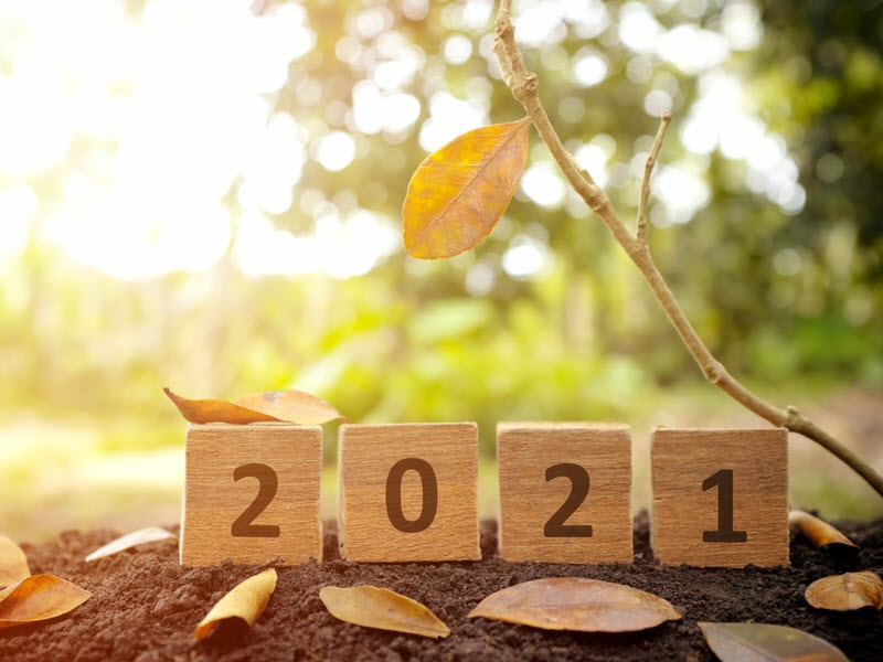 Wooden blocks with numbers 2021 and a tree with single leaf