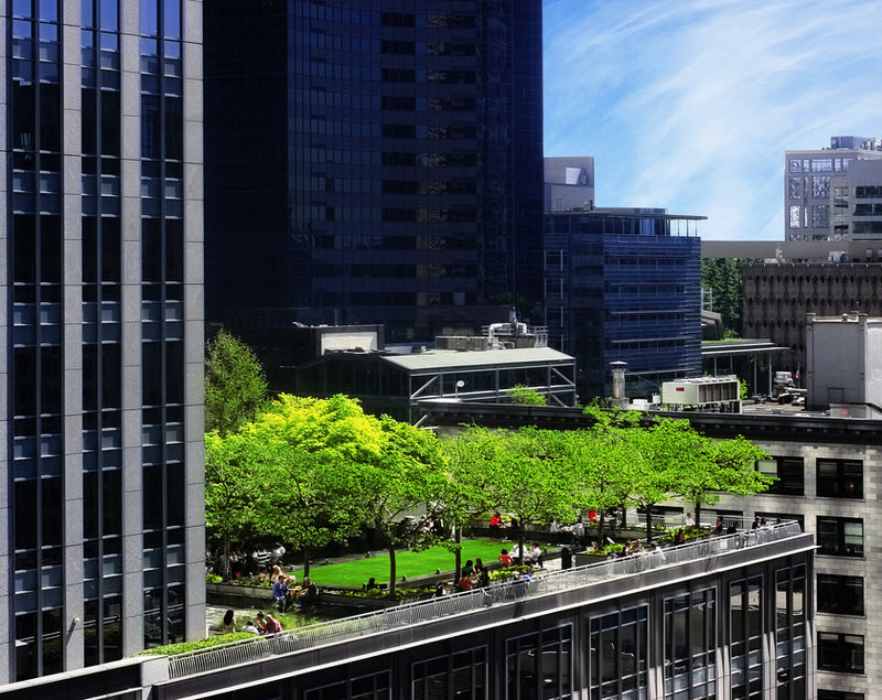 Rooftop park in the city