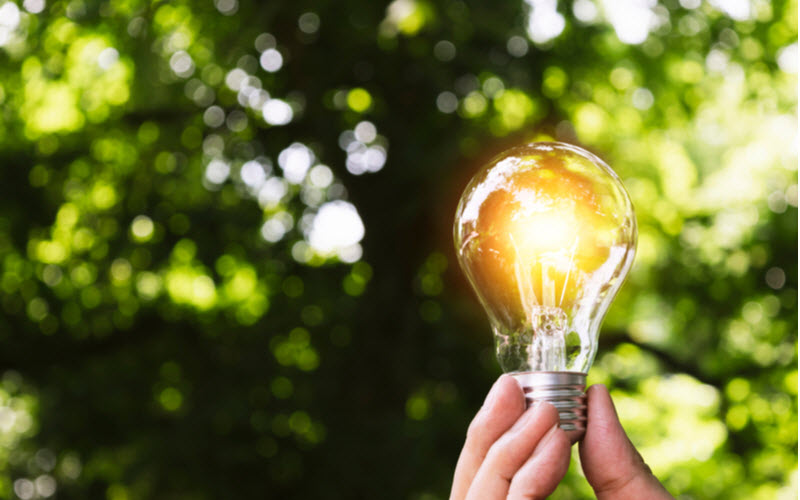 Hand of person holding light bulb on the nature background