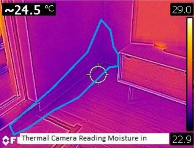 Thermal camera reading moisture