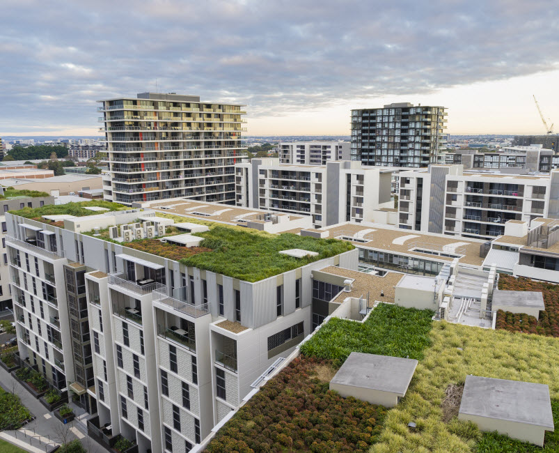 Green roof on modern buildings and other residential buildings